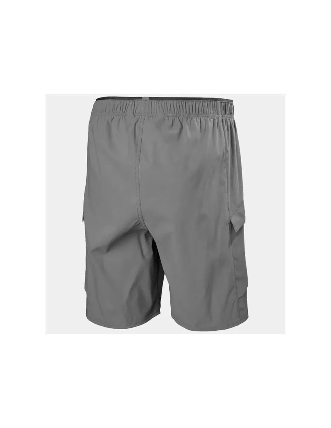 Pantalons par Montagne Helly Hansen Vista Hike Cargo Homme Gris